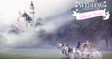 Fairytale Fantasy Castle+Carriage
