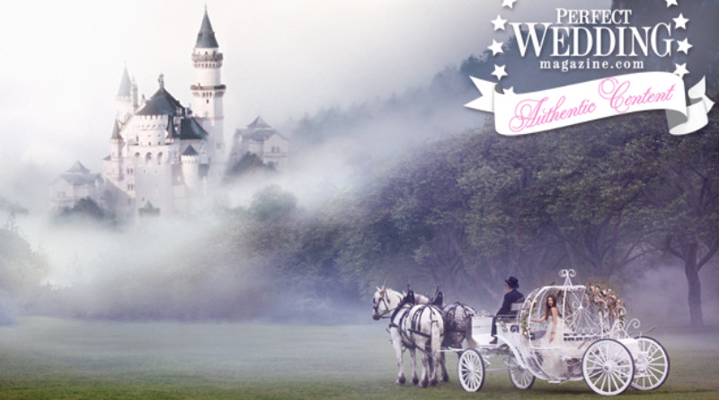 Fairytale Fantasy Castle+Carriage