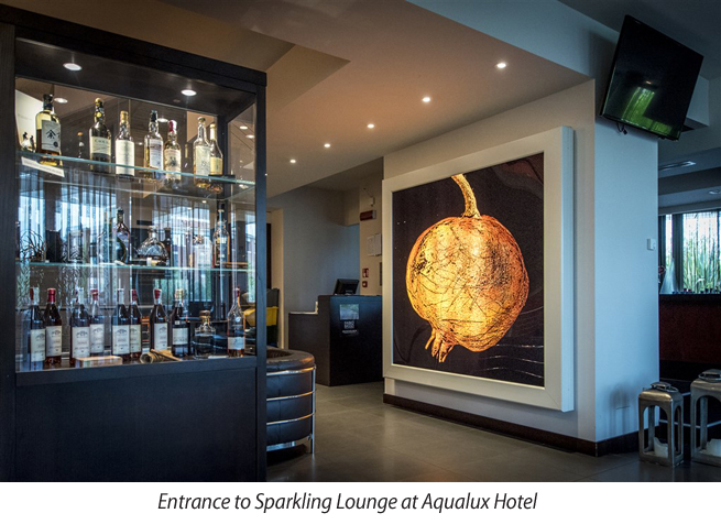 Aqualux Hotel, Garda Lake, Bardolino, Italy, Honeymoon in Italy, Perfect wedding Travels, Perfect Wedding Blog, Honeymoon Destinations, Fish&Chef Festival, Sparkling Lounge