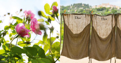 Dior in Grasse preserving the art of cultivating The May rose featured in Perfect Wedding Magazine
