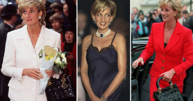 Lady Diana with her Lady Dior bag